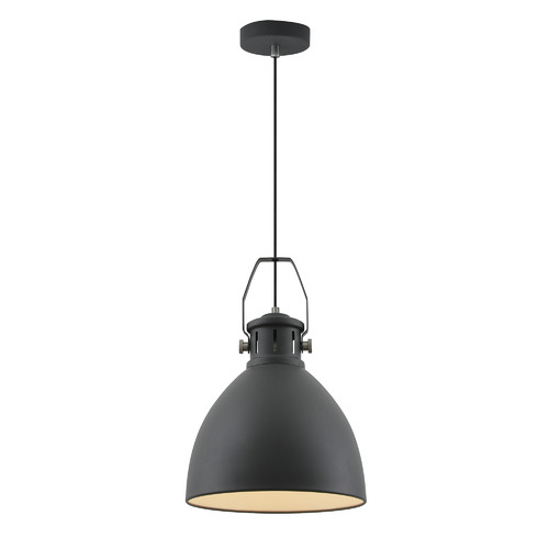 Industrial metal deals ceiling light